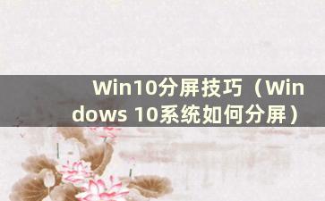 Win10分屏技巧（Windows 10系统如何分屏）